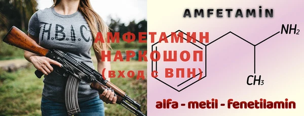гашик Алексеевка
