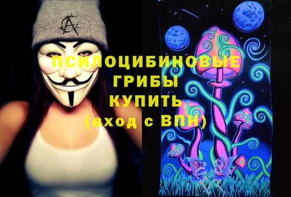 ГАЛЛЮЦИНОГЕННЫЕ ГРИБЫ Алексин