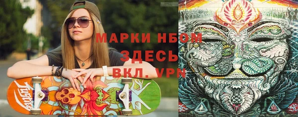 гашик Алексеевка