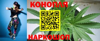крисы Новодвинск