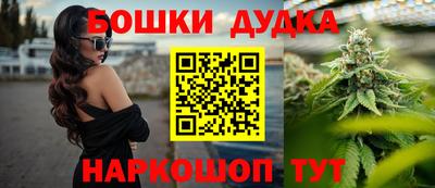крисы Новодвинск