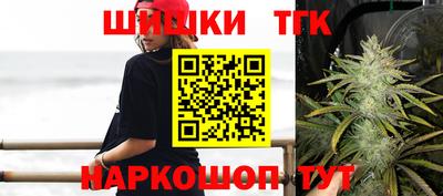 крисы Новодвинск