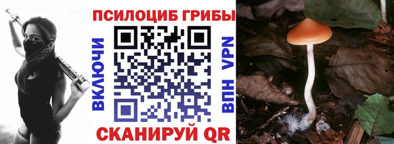 купить наркотики цена  Волгоград  Галлюциногенные грибы мицелий 