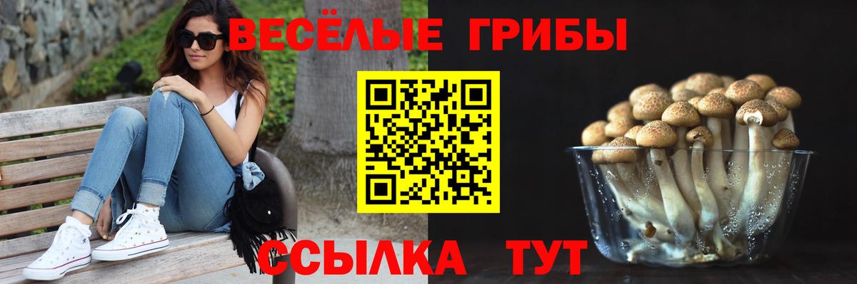 Галлюциногенные грибы Magic Shrooms  Вход с VPN  Волгоград 
